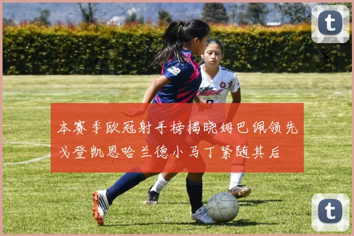 本赛季欧冠射手榜揭晓姆巴佩领先戈登凯恩哈兰德小马丁紧随其后