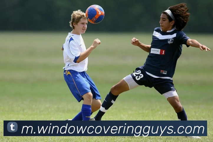 半岛买球APP 高清赛事图